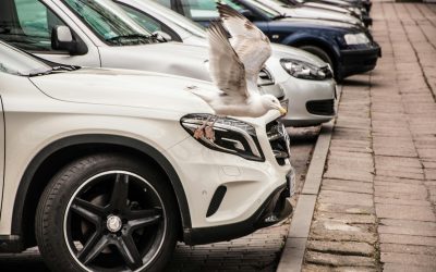 Tips Merawat Jok Kulit Mobil agar Tetap Elegan dan Tahan Lama